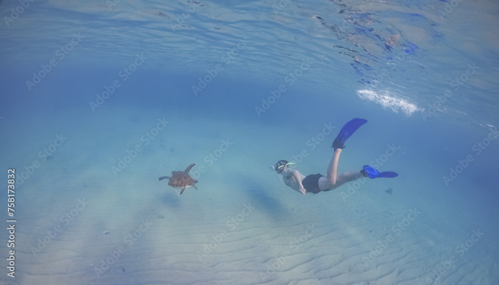 Naklejka premium swimming with turtles and fish at sunset on curacao Caribbean island