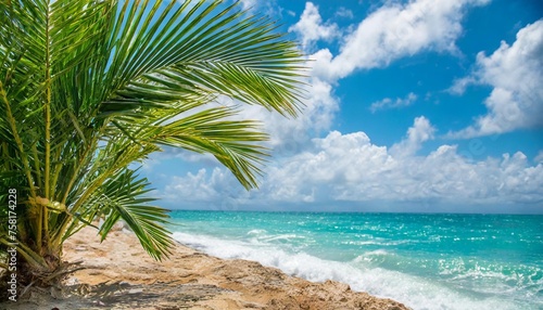 palm sunday background with green tropical tree leaves on stone