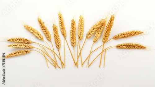 Ears of Golden Wheat Cut Out - 8K Resolution