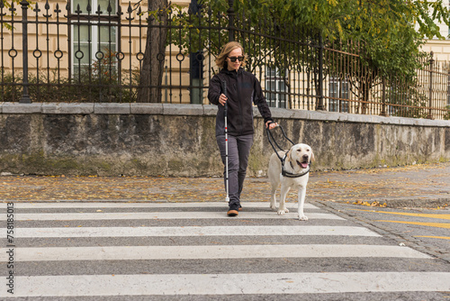 Fotografia Blind woman and her guide dog walking along a sidewalk and crossing a street on the zebra crossing