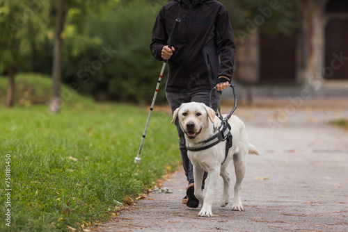 Blind woman walking in city park with a guide dog assistance, on a windy autumn day. Visually impaired people and active lifestyles concept. photo