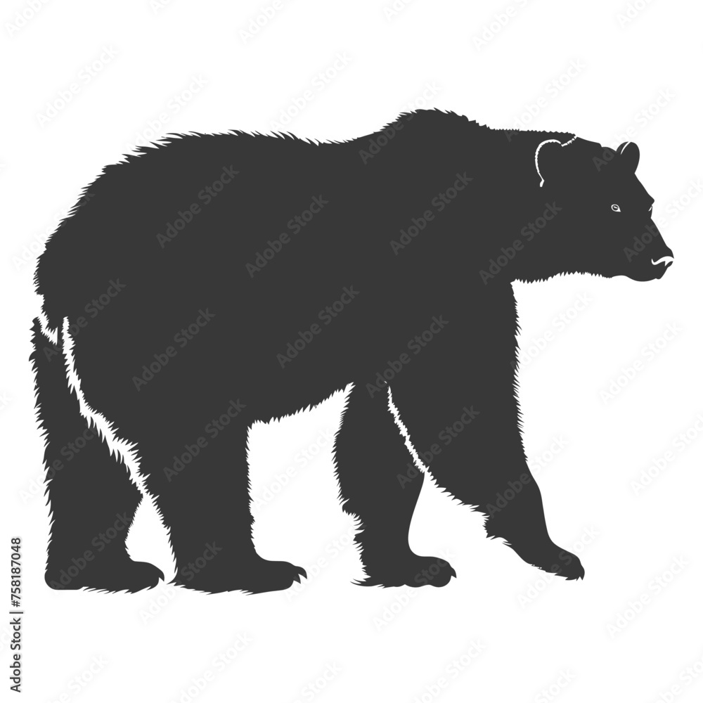 Silhouette grizzly bear Animal black color only full body Silhouette grizzly bear Animal black color only full body