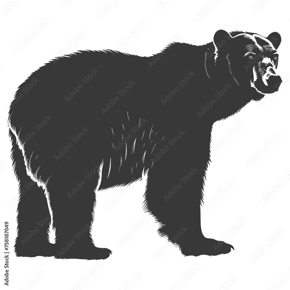 Silhouette grizzly bear Animal black color only full body Silhouette grizzly bear Animal black color only full body