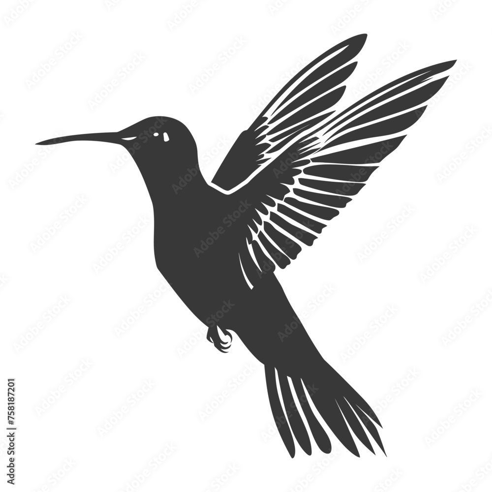 Silhouette Hummingbird black color only full body Silhouette Hummingbird black color only full body