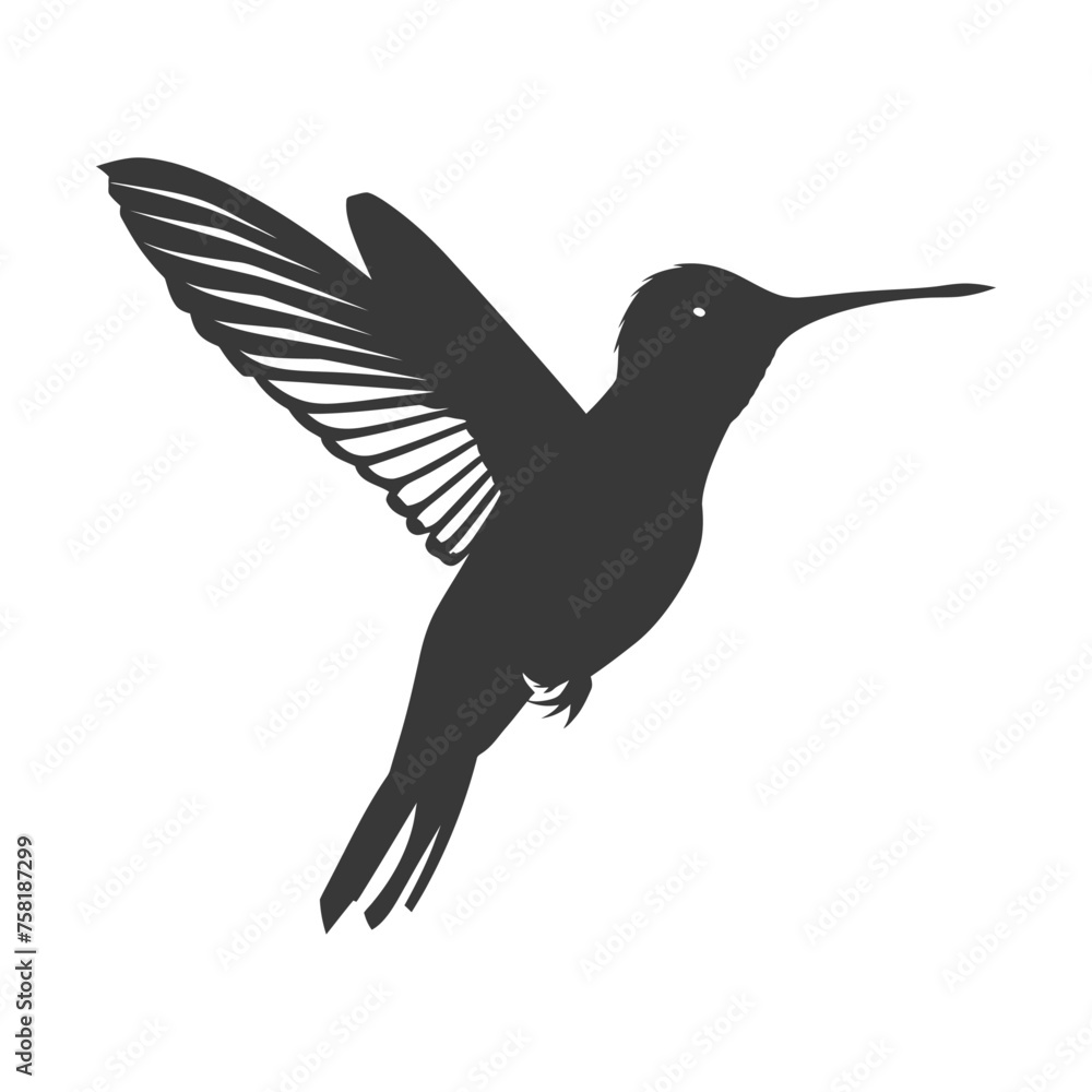 Obraz premium Silhouette Hummingbird fly black color only full body