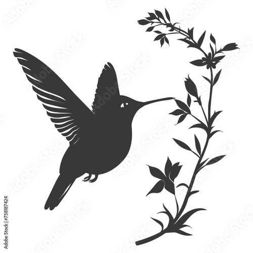 Silhouette Hummingbird fly black color only full body photo