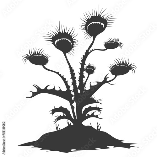 Silhouette Venus flytrap Flower Plant black color only