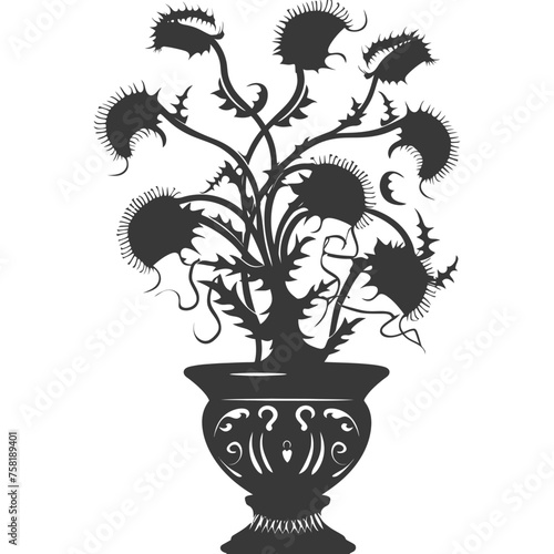 Silhouette Venus flytrap Flower Plant in the vase black color only