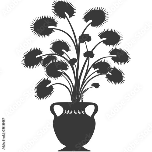 Silhouette Venus flytrap Flower Plant in the vase black color only photo