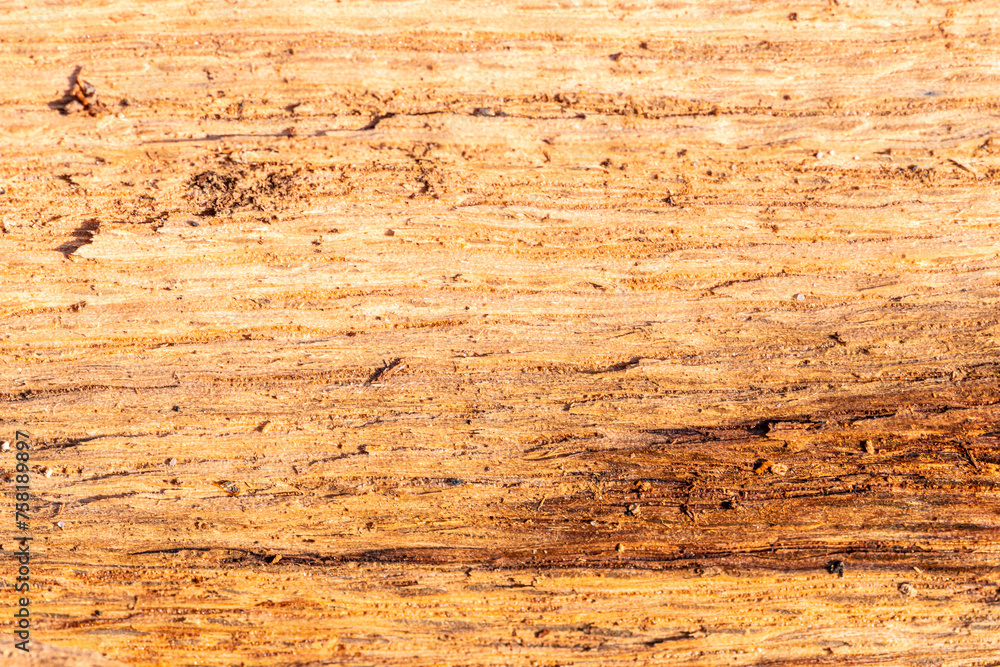Naklejka premium tło z drewna naturalnego brązowego w ciepłych barwach