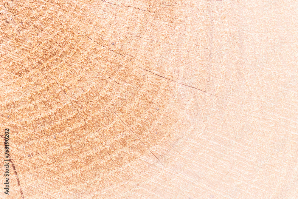 Obraz premium jasne drewno naturalne jako tło do projektu