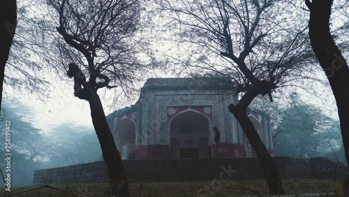 Reflection amidst the mist-covered pathways, Chota Batashewala Tomb photo