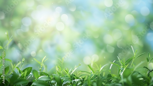 World environment day concept: tranquil abstract blur of lush greenery against serene blue sky, eco-friendly nature backdrop