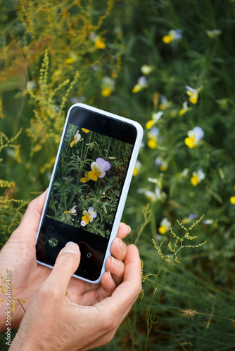 A girl photographer takes a photo of spring flowers on a smartphone, close-up of the phone screen