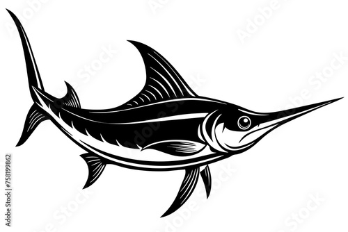 Fish vector illustration