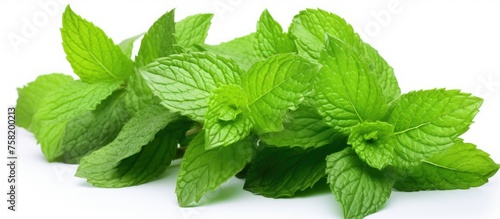 Fresh Mint Leaves Arranged in a Beautiful Pattern on a Vibrant Green Background