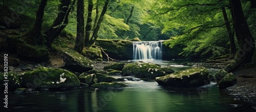 Tranquil Stream Flowing Through Enchanting Forest with Lush Greenery and Sunlight Peeking Through Canopy