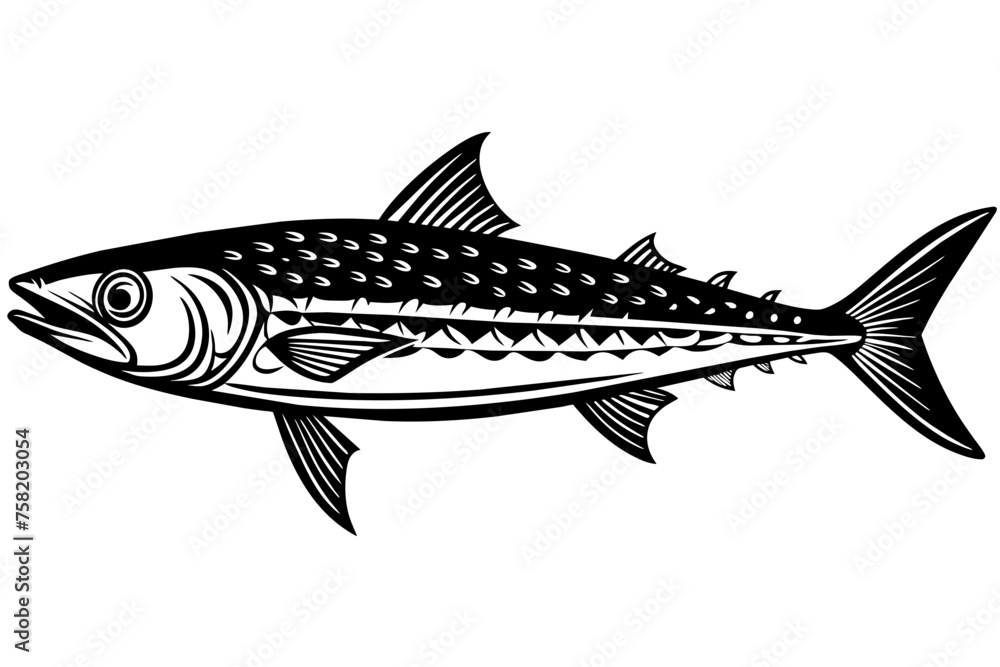 Illustration of a Fish