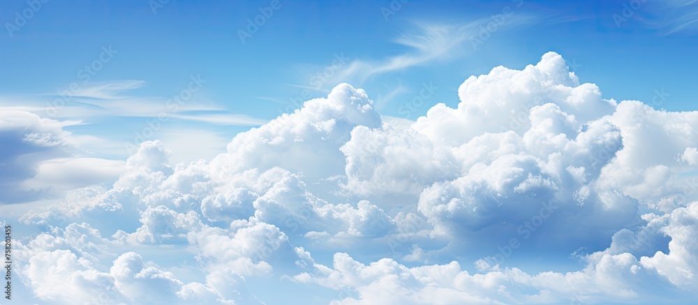 Serenity Overlooking a Blank Canvas Sky with Fluffy Clouds