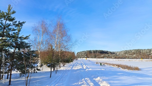 In winter  the lake is covered with ice  and snow lies on top. Pine and birch trees grow on the shore  and there is a path and a ski track in the snowdrifts. Footprints in the snow. Sunny weather
