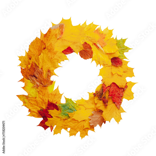 Wreath of autumn bright dry leaves, isolated. Top view