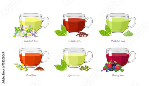 Tea collection. Set of different types of tea in glass cups. Vector cartoon illustration of hot drink.