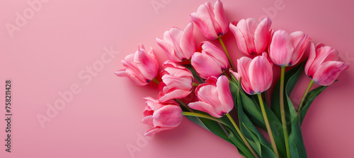 Romantic Pink Tulips  Capturing Spring s Beauty
