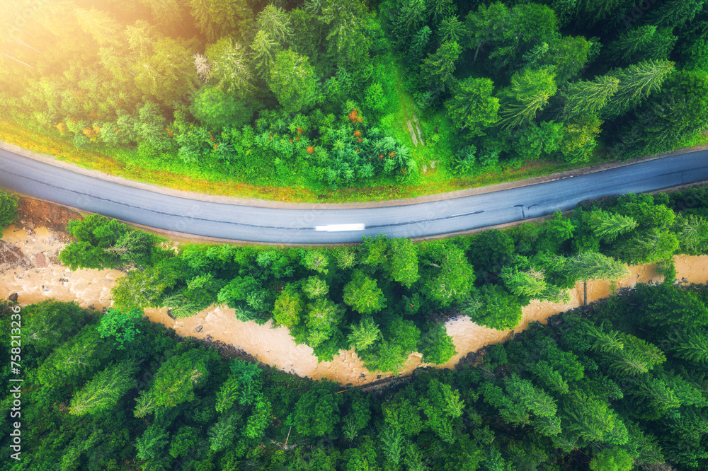 Aerial view of road in beautiful green forest at sunset in summer. Colorful landscape with roadway, river, pine trees in Carpatian mountains. Top drone view of road in the woods. Travel in Ukraine
