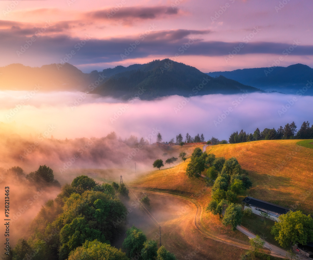 Aerial view of alpine meadows and mountains in low clouds at colorful sunrise in summer. Top drone view of hills with green grass and trees in fog, sky. Alps in Slovenia at dawn. Nature background