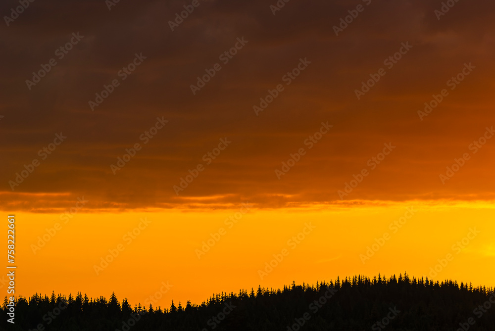 Sunset Over a Swedish Forest With Vivid Orange Sky and Silhouetted Trees