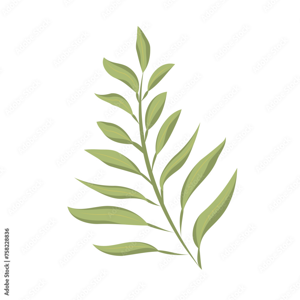 Fototapeta premium Tree leaf colored icon Vector