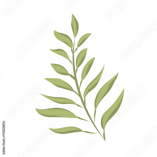 Tree leaf colored icon Vector