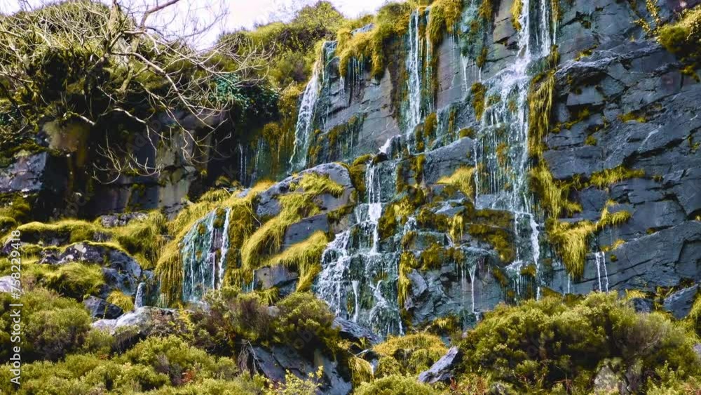 Water streams down rocks adorned with moss and shrubs. Water streams down rocks adorned with moss and shrubs.