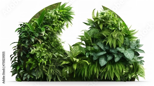 Round green garden wall made from tropical plants.