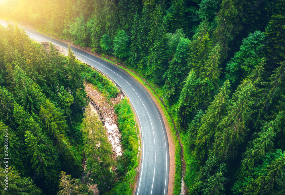 Aerial view of road in beautiful green forest at sunset in summer. Colorful landscape with roadway, river, pine trees in Carpatian mountains. Top drone view of road in the woods. Travel in Ukraine - obrazy, fototapety, plakaty 