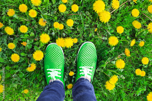 Legs in green moccasins on a lawn with yellow dandelions. View from above on feet in leather summer shoes and jeans. Human and nature. Earth Day.