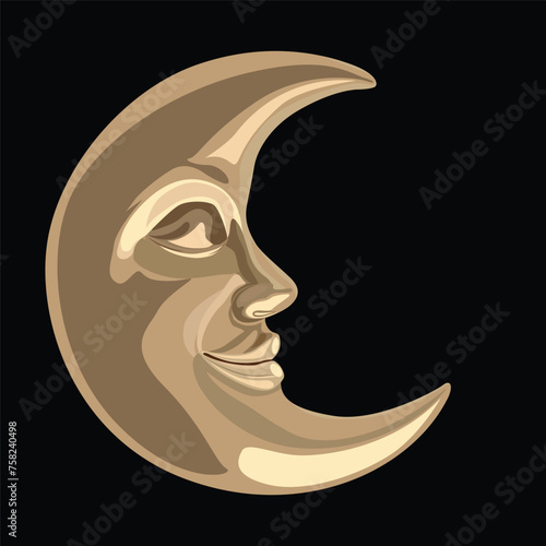 face of the moon vector