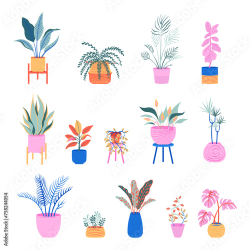 Potted plants bright set. Interior colorful houseplants in planters, baskets, flowerpots. Home indoor green decor. Flat graphic vector illustrations isolated on white background