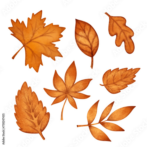 Set watercolor autumn orange leaves