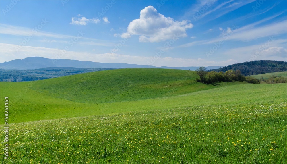 Fototapeta premium landscape with green grass and sky