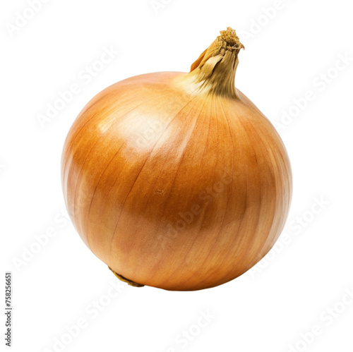 Wallpaper Mural A fresh white onion isolated on Transparent background. Torontodigital.ca