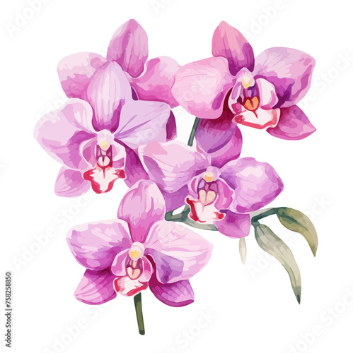 Watercolor Drawing clipart Illustration orchid flower set floral botanical  isolated on a white background  Vector Graphic  Painting art.