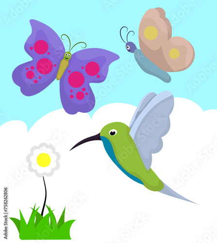 set butterfly and humingbird with sky background