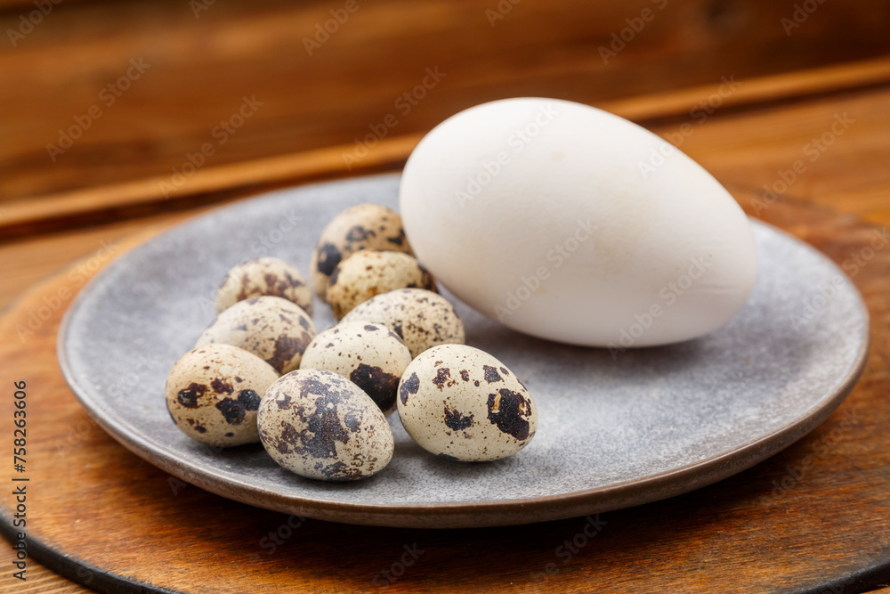 goose and quail eggs on a gray plate on a wooden stand comparison goose and quail eggs on a gray plate on a wooden stand comparison
