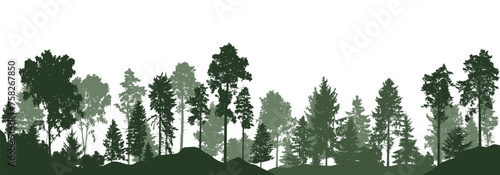 Beautiful landscape, silhouette of forest. Tall pine  and spruce tres. Horizontal woodland. Vector illustration