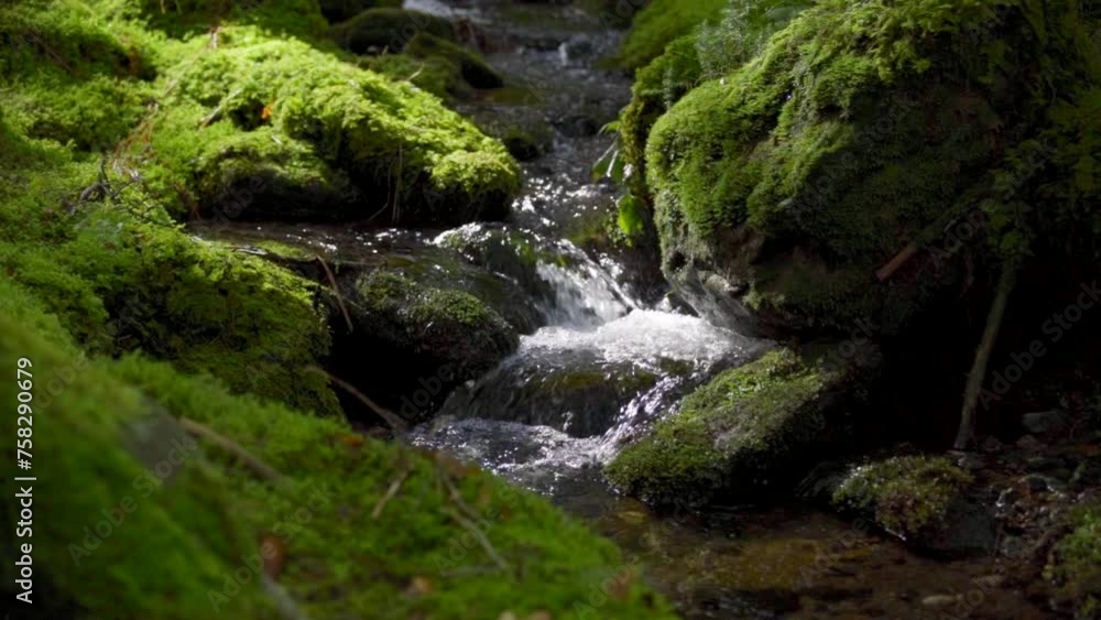 Zeitlupenaufnahme eines Bachlaufs im Bayrischen Wald im Frühjahr. Zeitlupenaufnahme eines Bachlaufs im Bayrischen Wald im Frühjahr.