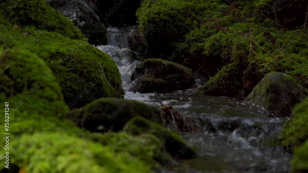 Nahaufnahme eines Bachlaufs im Bayrischen Wald im Frühjahr. Nahaufnahme eines Bachlaufs im Bayrischen Wald im Frühjahr.