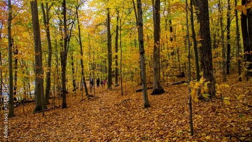 Bromont  Canada - October 14 2019  Colorful autumn view in Bromont mount in Quebec Canada