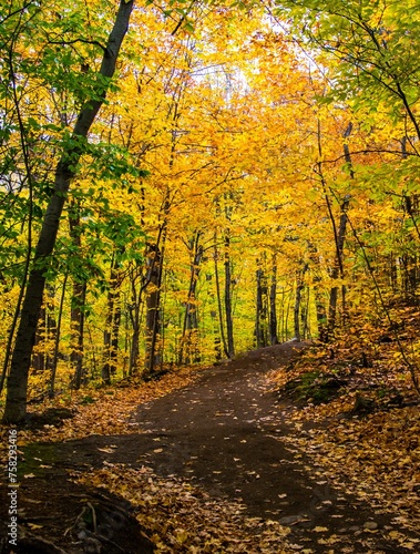 Bromont  Canada - October 14 2019  Colorful autumn view in Bromont mount in Quebec Canada