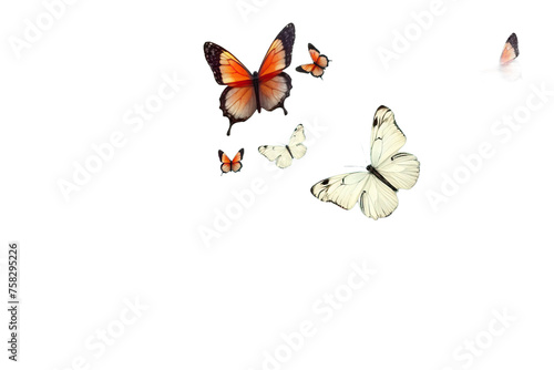 metamorphosis background butterflys rich rebirth resolution aesthetics art intelligence many gray nature colors generative flower high white symbol artificial